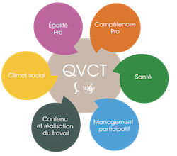 Logo Entrer dans une démarche QVCT_Fleur avec les 6 pétales axes