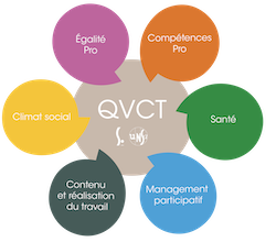 Logo Entrer dans une démarche QVCT_Fleur avec les 6 pétales axes