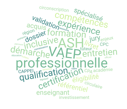 VAEP CAPPEI – session 2027