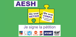 Visuel pétition - AESH : un vrai métier, un vrai corps de fonctionnaire