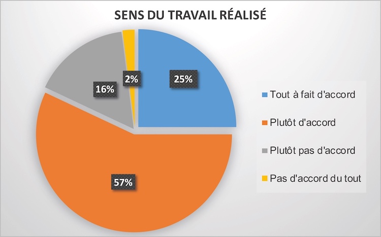 camembert "Sens du travail réalisé"