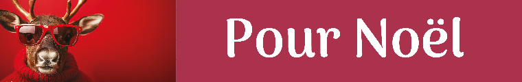 Bandeau Pour Noël de l'ALC